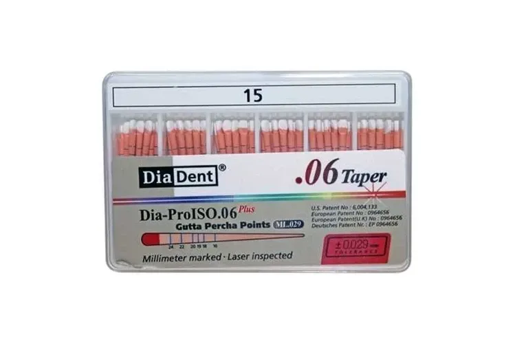 Gutta Percha Points 15/.06 60pcs