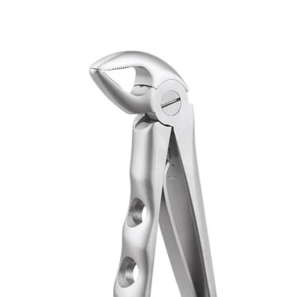 Extraction Forceps Fig.31 Lower Roots Anatomical Handle