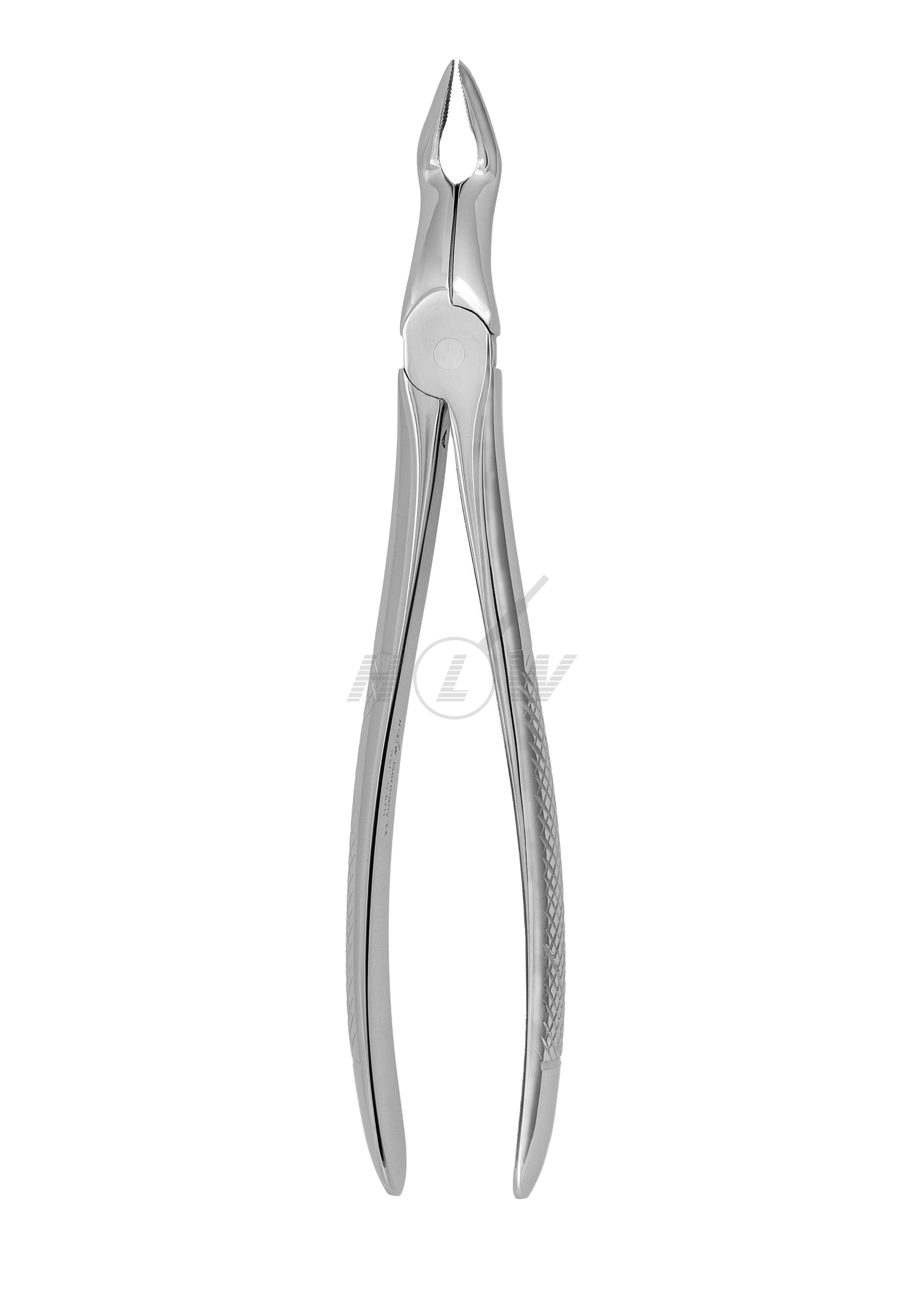 Root Tip Forceps 3rd Molar Standard Handle