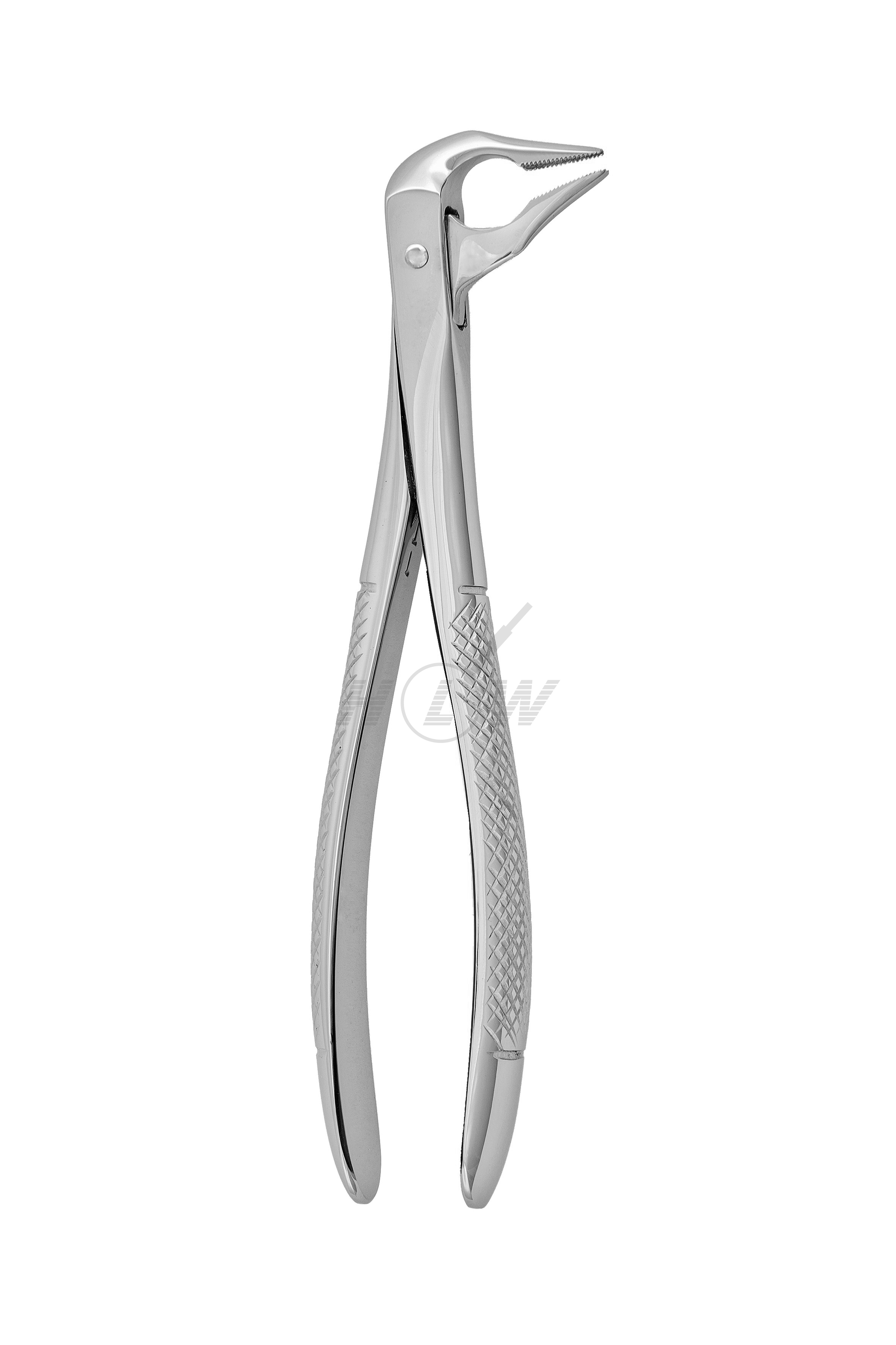 Root Tip Forceps Lower Premolars Anatomical Handle