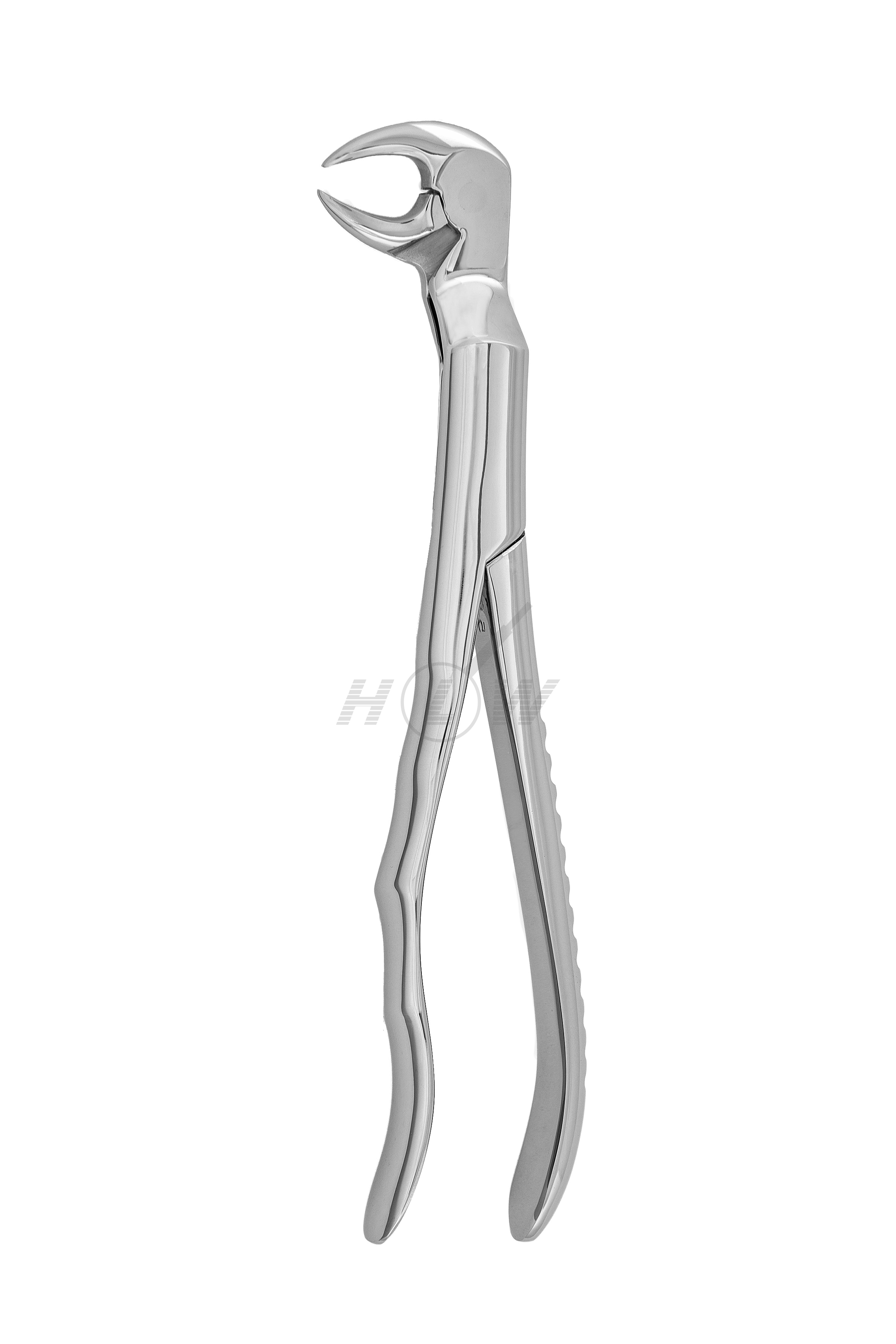 Lower Molars Forceps Left