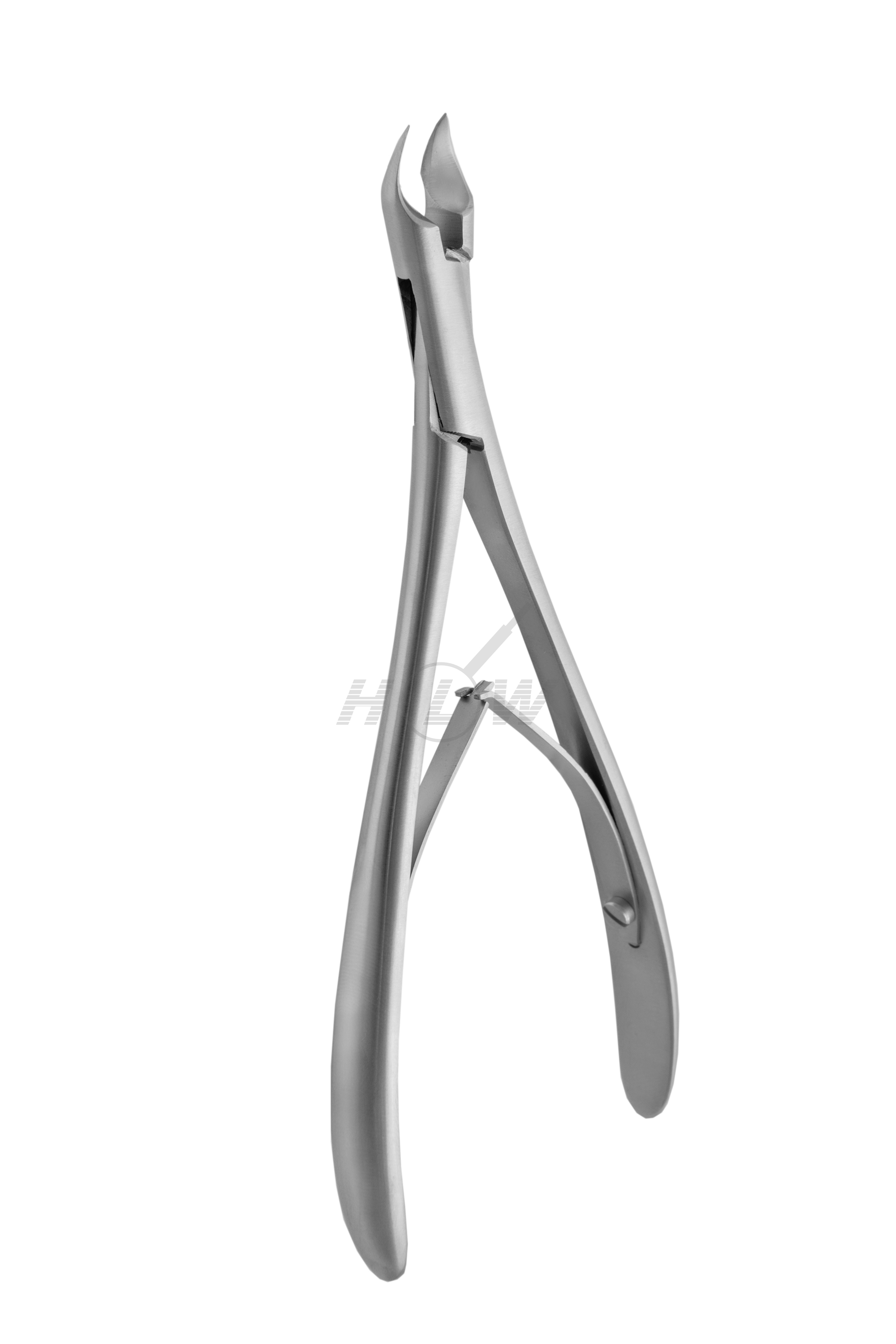 Gingival Forceps - 15.0 cm