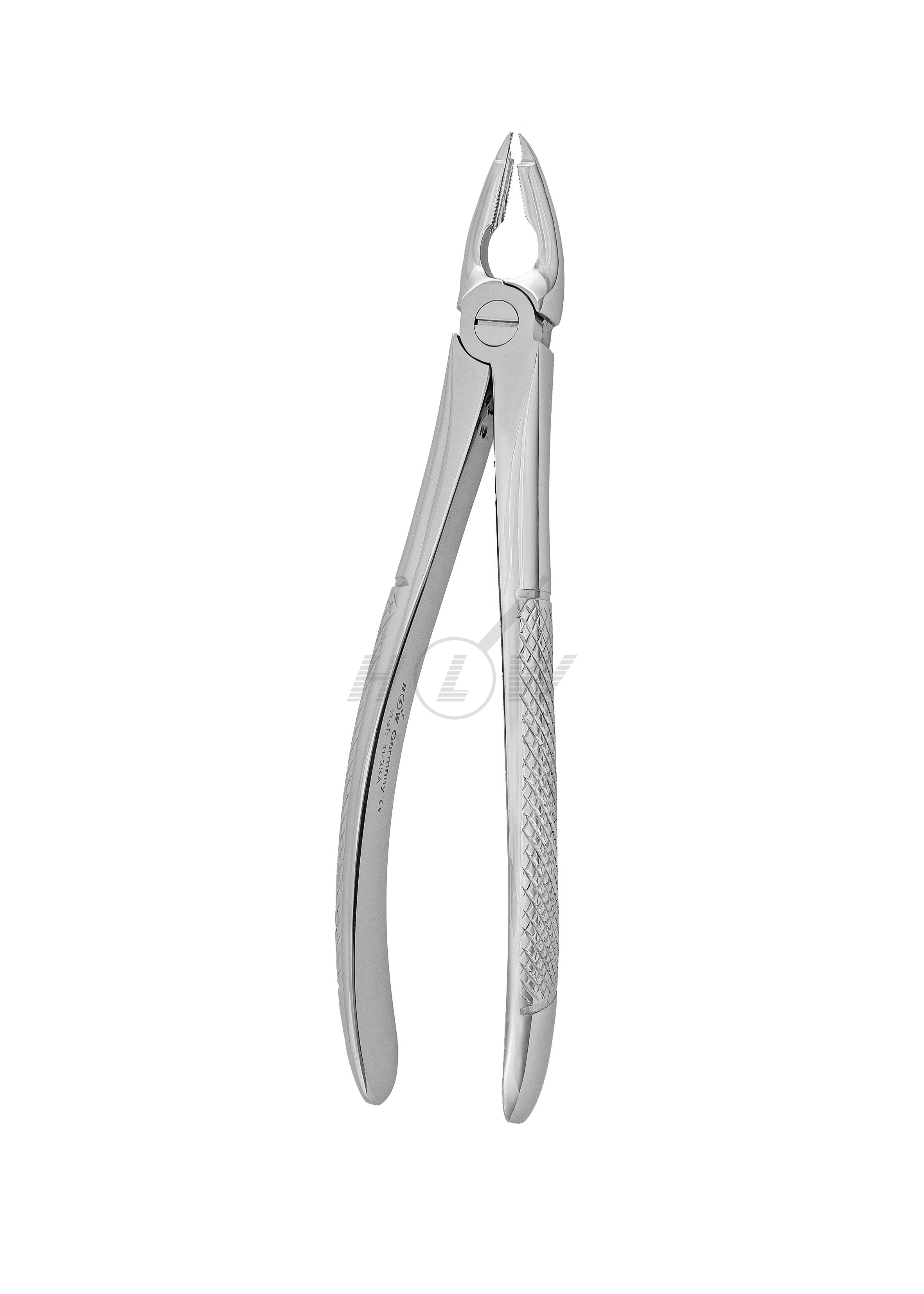 Root Tip Forceps Premolar Standard Handle