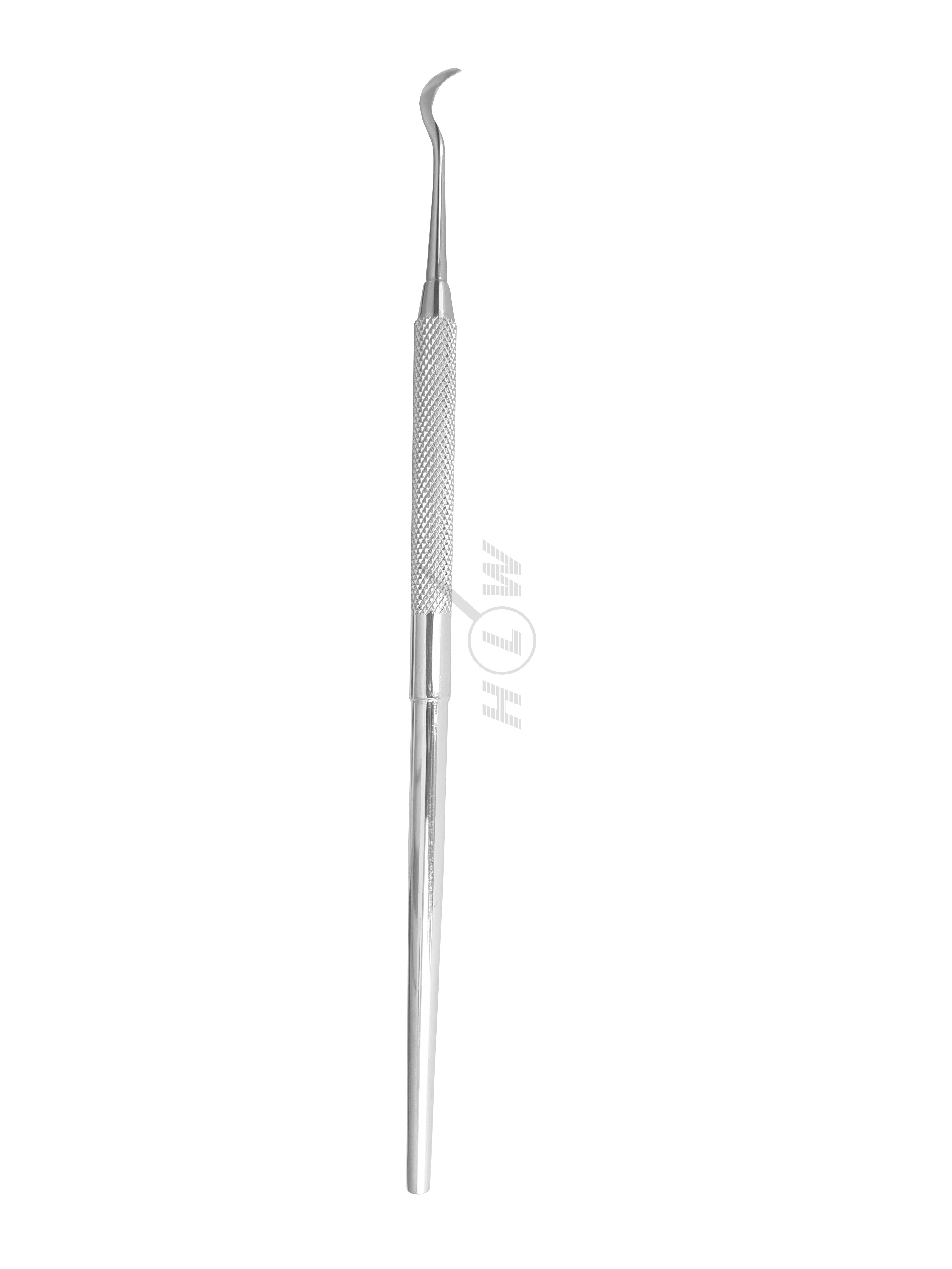 Scaler 6