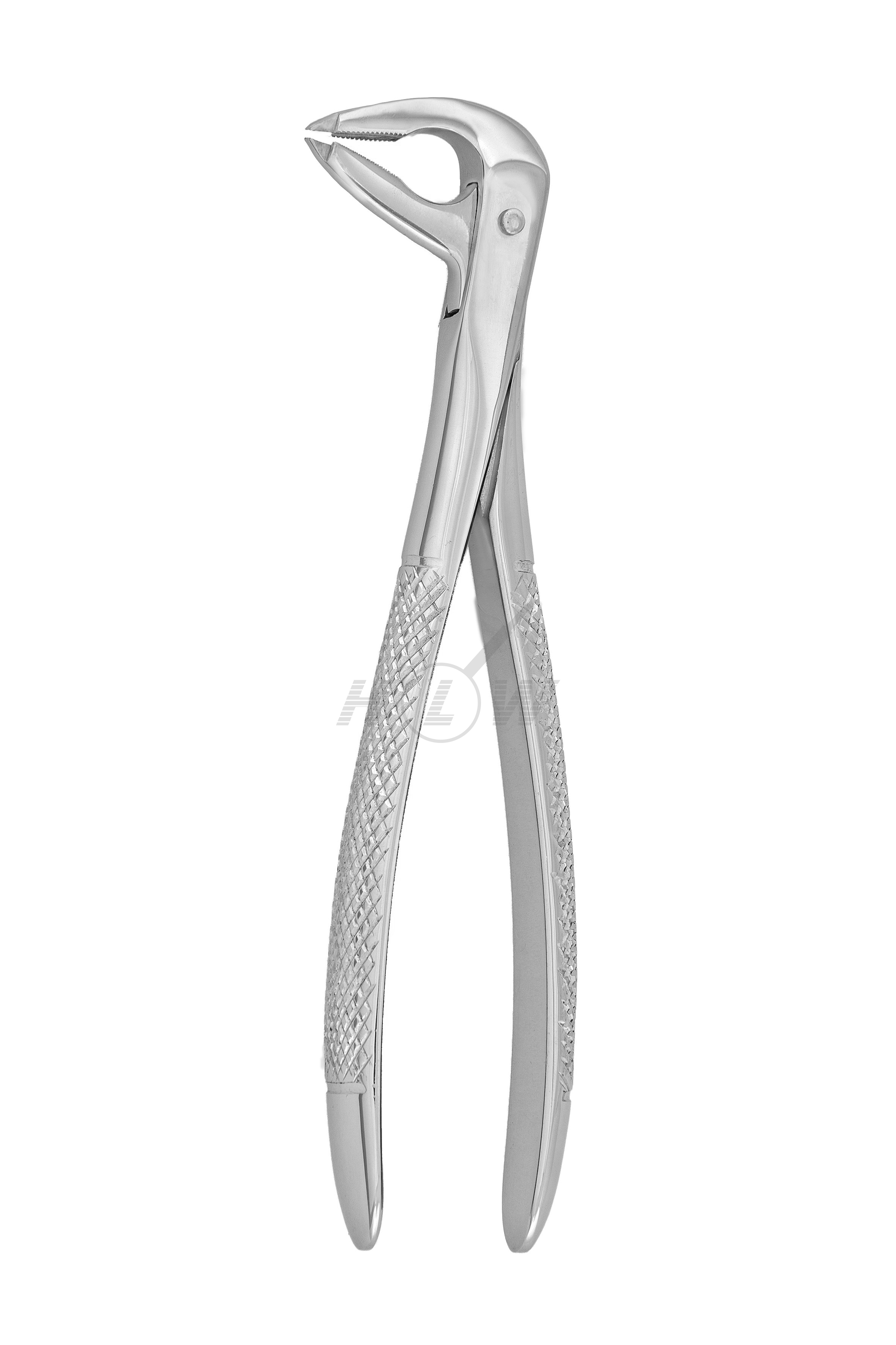 Root Tip Forceps #11 Lower Premolars Standard Handle